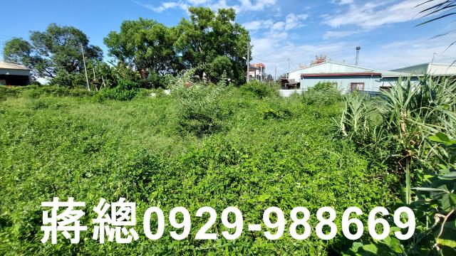 佳里建地-12