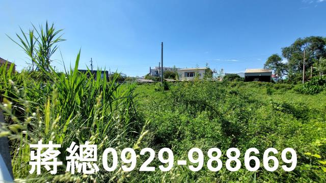 佳里建地-7