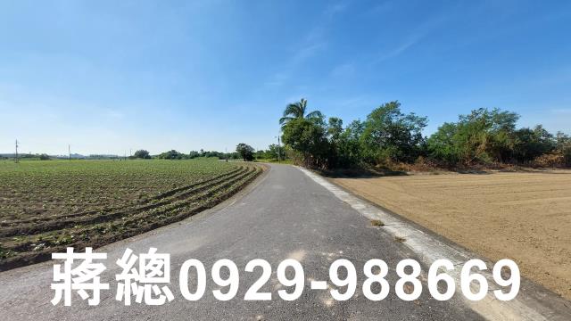 新市農地-10