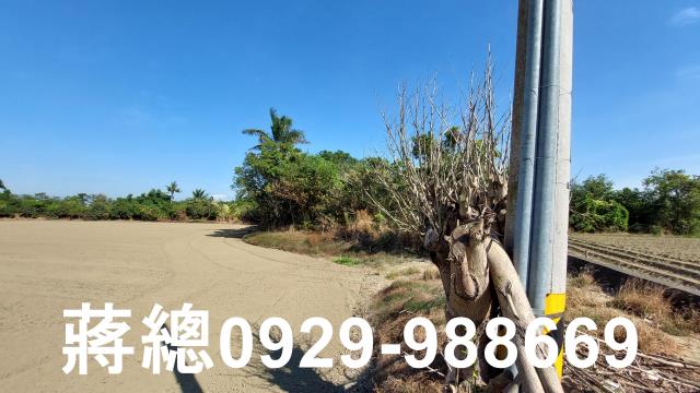 新市農地-9