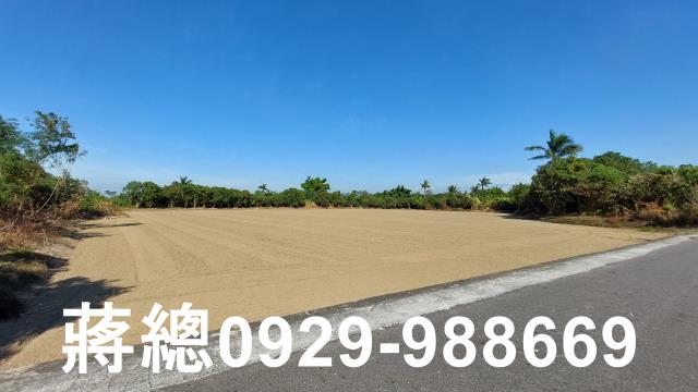 新市農地-2
