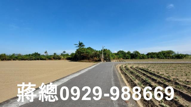 新市農地-1