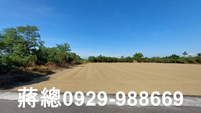 新市農地-6