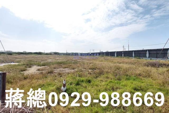 安南農地-3