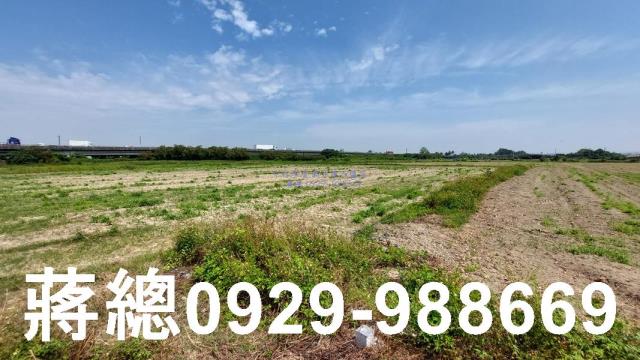 台南新市農地-2