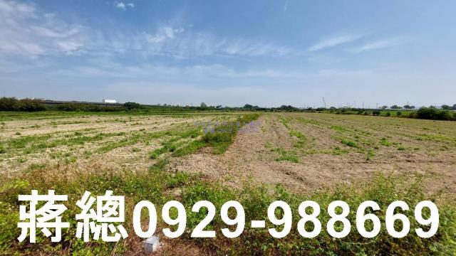 台南新市農地-4