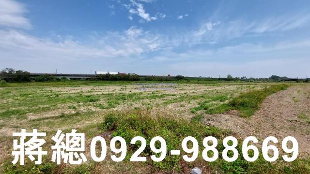 台南新市農地-6