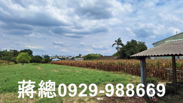 台南新市農地-3