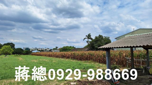 台南新市農地-4