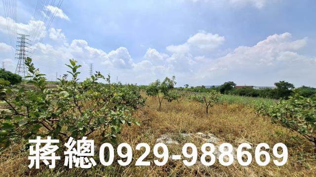 新市農地-8