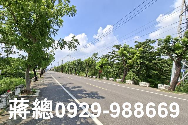 新市農地-5