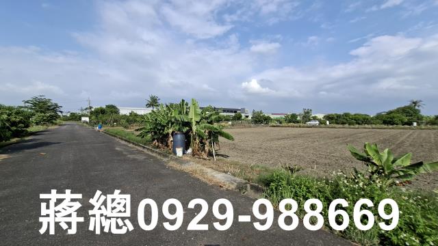 台南安定農地-2