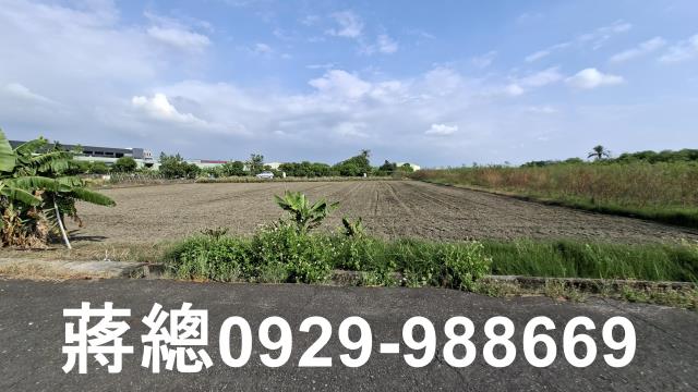 台南安定農地-3