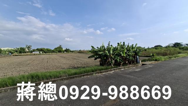 台南安定農地-5