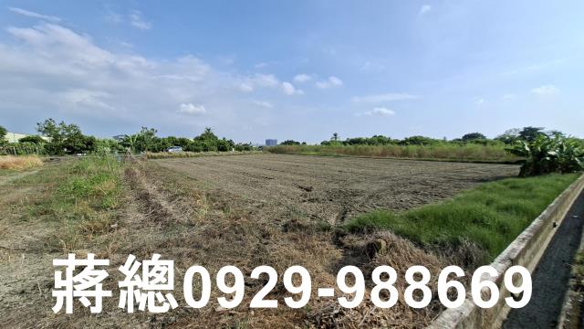 台南安定農地-10